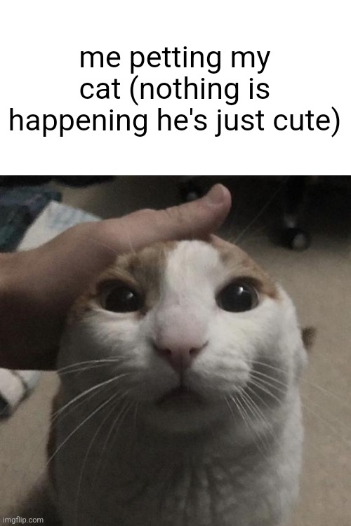me petting my cat | me petting my cat (nothing is happening he's just cute) | image tagged in me petting my cat | made w/ Imgflip meme maker