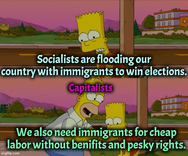 Left or Right. They don't care about you. | Socialists are flooding our country with immigrants to win elections. Capitalists; We also need immigrants for cheap labor without benifits and pesky rights. | image tagged in worst day of my life,capitalism,socialism,illegal immigration,immigrants | made w/ Imgflip meme maker