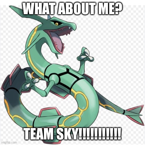 WHAT ABOUT ME? TEAM SKY!!!!!!!!!!! | made w/ Imgflip meme maker