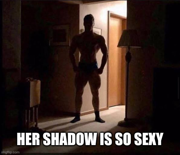 shadowy buff guy in a doorway | HER SHADOW IS SO SEXY | image tagged in shadowy buff guy in a doorway | made w/ Imgflip meme maker