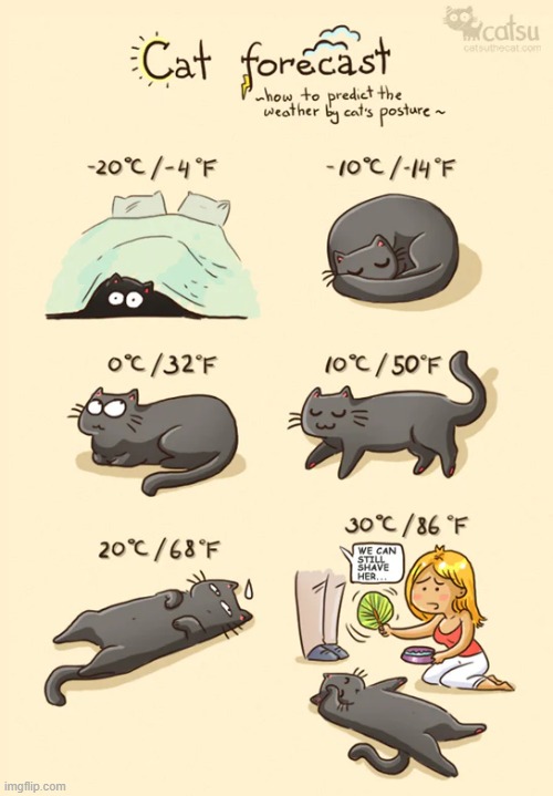 image tagged in memes,comics/cartoons,weather,prediction,cats,this is the way | made w/ Imgflip meme maker