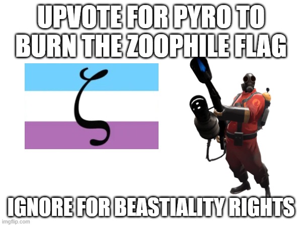 Zoophiles don't deserve rights | UPVOTE FOR PYRO TO BURN THE ZOOPHILE FLAG; IGNORE FOR BEASTIALITY RIGHTS | image tagged in blank white template,the pyro - tf2,burn baby burn | made w/ Imgflip meme maker