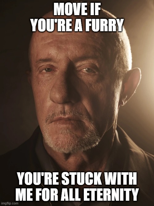 Mike Ehrmantraut | MOVE IF YOU'RE A FURRY; YOU'RE STUCK WITH ME FOR ALL ETERNITY | image tagged in mike ehrmantraut | made w/ Imgflip meme maker