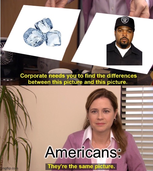 They're The Same Picture Meme | Americans: | image tagged in memes,they're the same picture | made w/ Imgflip meme maker