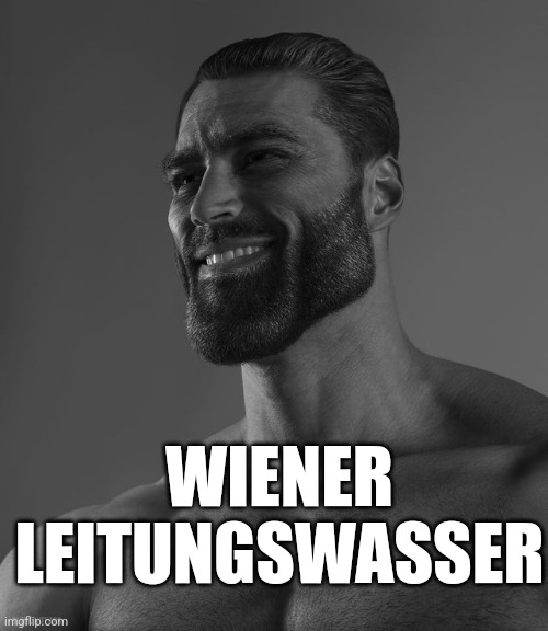 Giga Chad | WIENER LEITUNGSWASSER | image tagged in giga chad | made w/ Imgflip meme maker