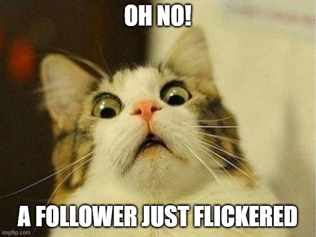 Scared Cat | OH NO! A FOLLOWER JUST FLICKERED | image tagged in memes,scared cat,followers | made w/ Imgflip meme maker