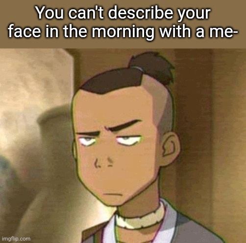 Sokka Disaproves | You can't describe your face in the morning with a me- | image tagged in sokka disaproves | made w/ Imgflip meme maker
