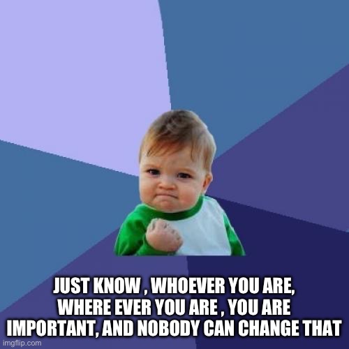 Success Kid | JUST KNOW , WHOEVER YOU ARE, WHERE EVER YOU ARE , YOU ARE IMPORTANT, AND NOBODY CAN CHANGE THAT | image tagged in memes,success kid | made w/ Imgflip meme maker