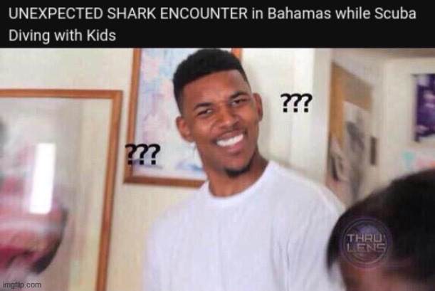 It's the ocean. How tf is that unexpected? Also, sharks are legally protected in the Bahamas. | image tagged in black guy confused,shark | made w/ Imgflip meme maker
