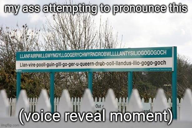 Llanfairpwllgwyngyllgogerychwyrndrobwllllantysiliogogogoch | my ass attempting to pronounce this; (voice reveal moment) | image tagged in llanfairpwllgwyngyllgogerychwyrndrobwllllantysiliogogogoch | made w/ Imgflip meme maker