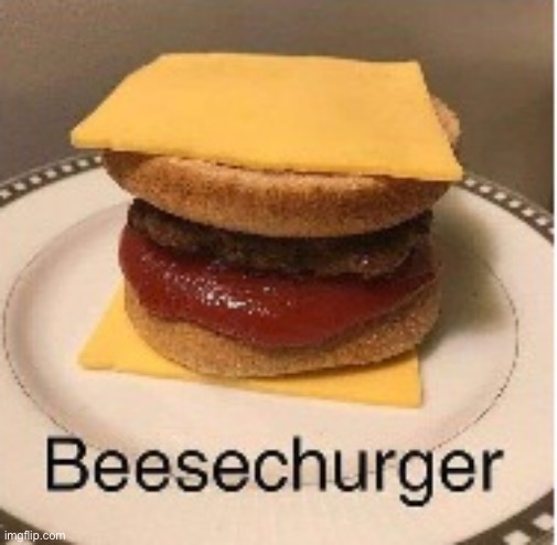 Beesechurger | image tagged in beesechurger | made w/ Imgflip meme maker