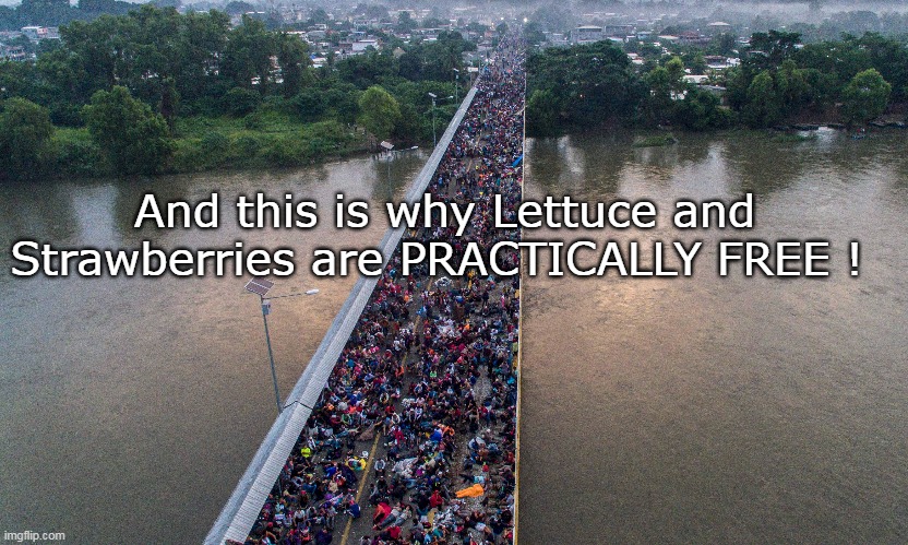 And this is why Lettuce and Strawberries are PRACTICALLY FREE ! | made w/ Imgflip meme maker