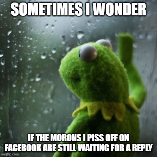sometimes I wonder  | SOMETIMES I WONDER; IF THE MORONS I PISS OFF ON FACEBOOK ARE STILL WAITING FOR A REPLY | image tagged in sometimes i wonder | made w/ Imgflip meme maker