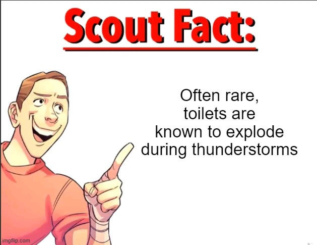 Scout Fact | Often rare, toilets are known to explode during thunderstorms | image tagged in scout fact | made w/ Imgflip meme maker