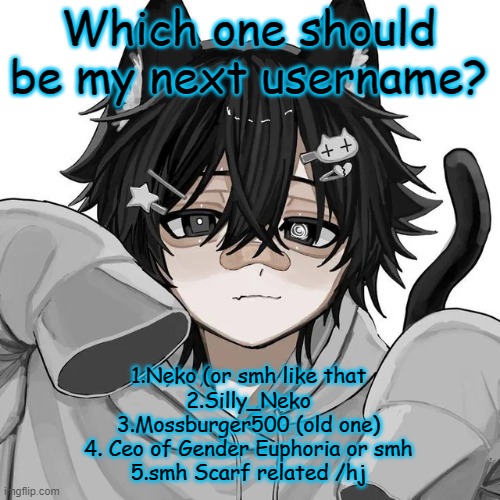 tfym I ain't masculine? | Which one should be my next username? 1.Neko (or smh like that
2.Silly_Neko
3.Mossburger500 (old one)
4. Ceo of Gender Euphoria or smh
5.smh Scarf related /hj | image tagged in tfym i ain't masculine | made w/ Imgflip meme maker