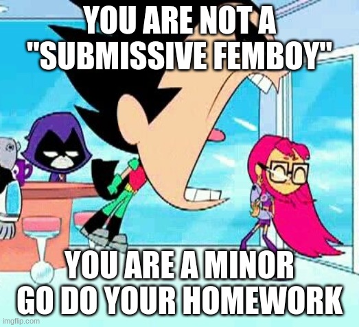 robin yelling at starfire | YOU ARE NOT A "SUBMISSIVE FEMBOY"; YOU ARE A MINOR GO DO YOUR HOMEWORK | image tagged in robin yelling at starfire | made w/ Imgflip meme maker