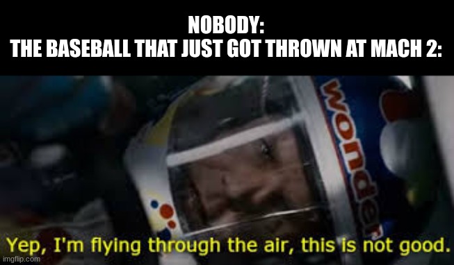 NOBODY:
THE BASEBALL THAT JUST GOT THROWN AT MACH 2: | made w/ Imgflip meme maker