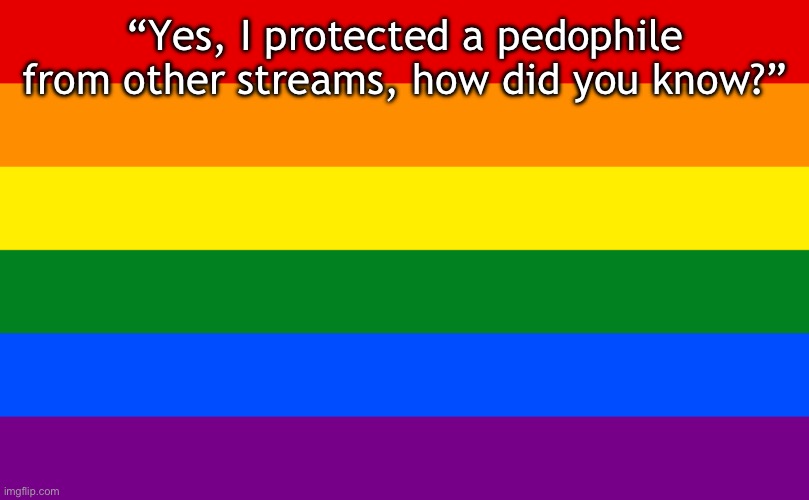 Gay Pride Flag | “Yes, I protected a pedophile from other streams, how did you know?” | image tagged in gay pride flag | made w/ Imgflip meme maker