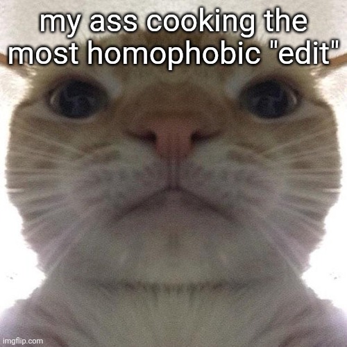 Staring Cat/Gusic | my ass cooking the most homophobic "edit" | image tagged in staring cat/gusic | made w/ Imgflip meme maker