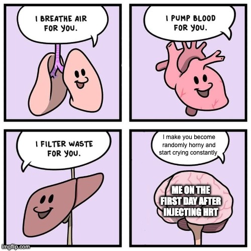 organs and brain | I make you become randomly horny and start crying constantly; ME ON THE FIRST DAY AFTER INJECTING HRT | image tagged in organs and brain | made w/ Imgflip meme maker