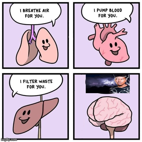 organs and brain | image tagged in organs and brain | made w/ Imgflip meme maker