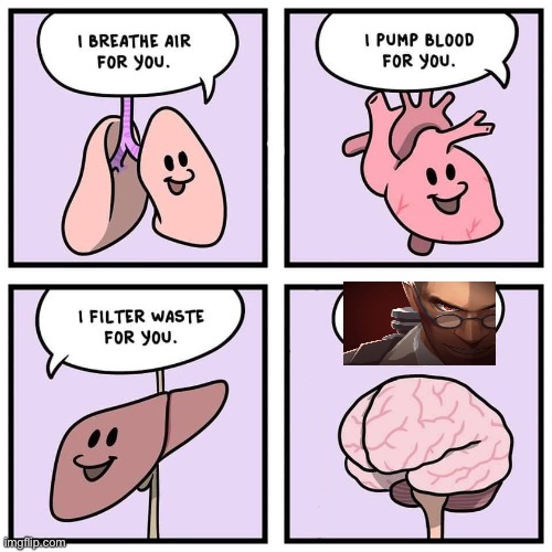 organs and brain | image tagged in organs and brain | made w/ Imgflip meme maker