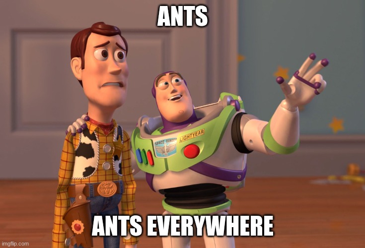 Me be like... | ANTS; ANTS EVERYWHERE | image tagged in memes,x x everywhere | made w/ Imgflip meme maker