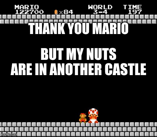 Thank You Mario | THANK YOU MARIO; BUT MY NUTS ARE IN ANOTHER CASTLE | image tagged in thank you mario | made w/ Imgflip meme maker