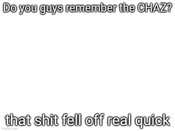 Do you guys remember the CHAZ? that shit fell off real quick | made w/ Imgflip meme maker