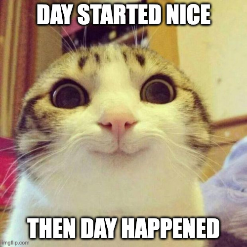 A day | DAY STARTED NICE; THEN DAY HAPPENED | image tagged in memes,smiling cat | made w/ Imgflip meme maker