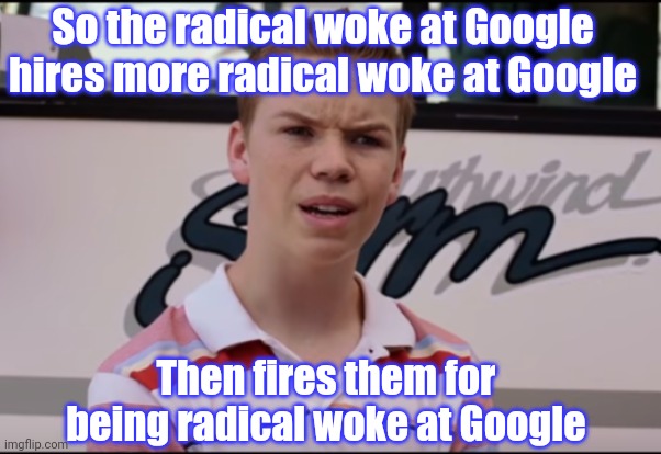 Betrayed by Google?!? yeah I know the feeling | So the radical woke at Google hires more radical woke at Google; Then fires them for being radical woke at Google | image tagged in you guys are getting paid | made w/ Imgflip meme maker