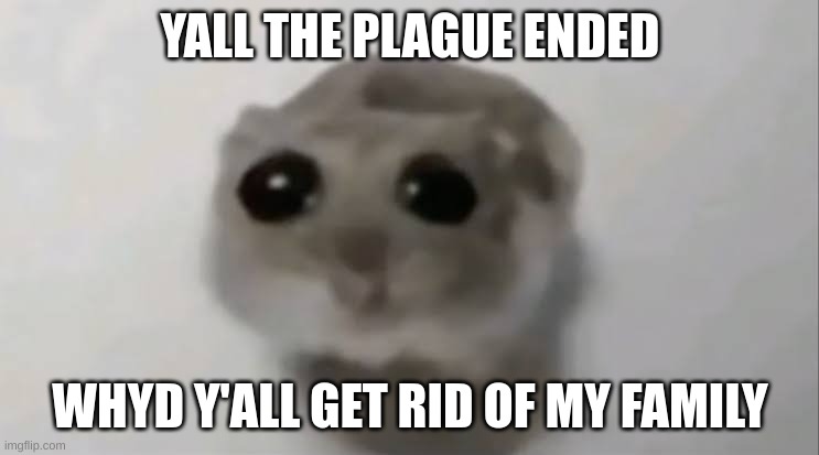 My family? | YALL THE PLAGUE ENDED; WHYD Y'ALL GET RID OF MY FAMILY | image tagged in sad hamster | made w/ Imgflip meme maker