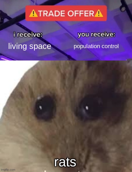 rats | living space; population control; rats | image tagged in trade offer,rat,plague,shitpost,meme | made w/ Imgflip meme maker