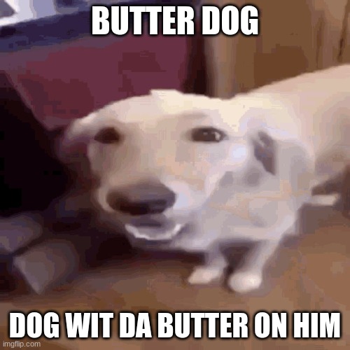 Butterdog | BUTTER DOG; DOG WIT DA BUTTER ON HIM | image tagged in butterdog | made w/ Imgflip meme maker
