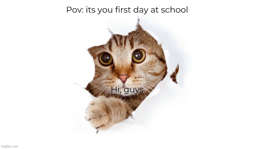 First Day | image tagged in relatable,true,funny | made w/ Imgflip meme maker