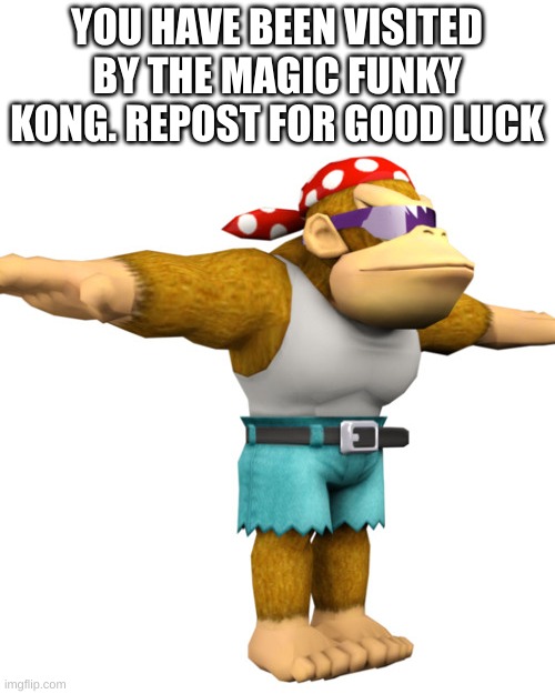 YOU HAVE BEEN VISITED BY THE MAGIC FUNKY KONG. REPOST FOR GOOD LUCK | made w/ Imgflip meme maker
