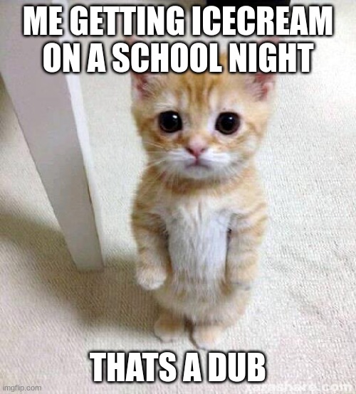YES SIR | ME GETTING ICECREAM ON A SCHOOL NIGHT; THATS A DUB | image tagged in memes,cute cat | made w/ Imgflip meme maker