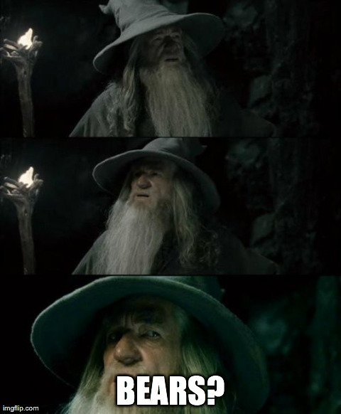 Confused Gandalf Meme | BEARS? | image tagged in memes,confused gandalf | made w/ Imgflip meme maker