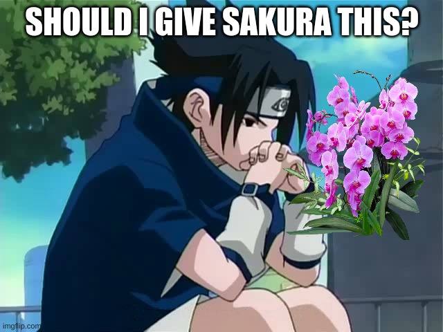 i want to give..... | SHOULD I GIVE SAKURA THIS? | image tagged in sasuke thinking | made w/ Imgflip meme maker