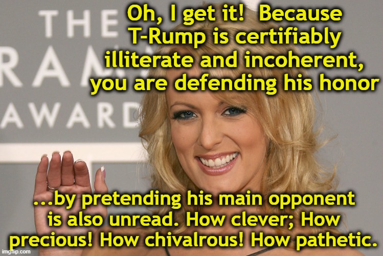Stormy Daniels | Oh, I get it!  Because T-Rump is certifiably illiterate and incoherent, you are defending his honor ...by pretending his main opponent is al | image tagged in stormy daniels | made w/ Imgflip meme maker