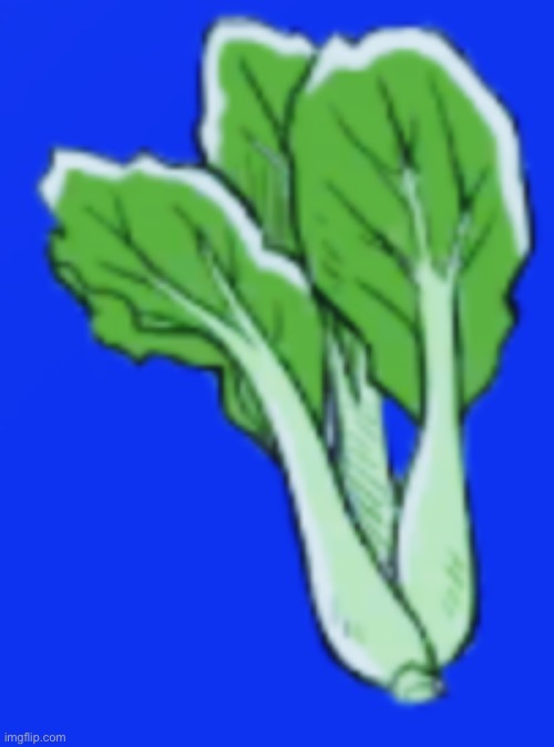 Bok Choy | image tagged in bok choy | made w/ Imgflip meme maker