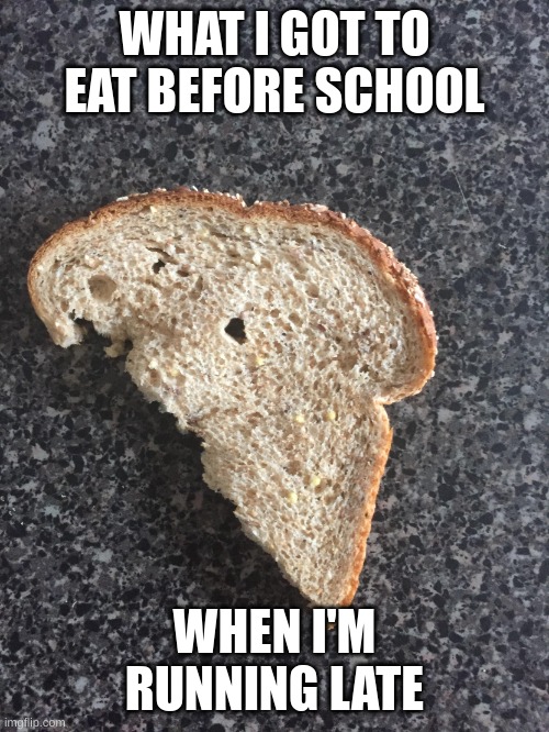 what I get to eat | WHAT I GOT TO EAT BEFORE SCHOOL; WHEN I'M RUNNING LATE | image tagged in half eaten bread 3,funny,memes,new template,school,breakfast | made w/ Imgflip meme maker