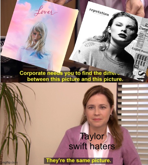 Taylor swift haters when they say all her music sounds the same | Taylor swift haters | image tagged in taylor swift | made w/ Imgflip meme maker