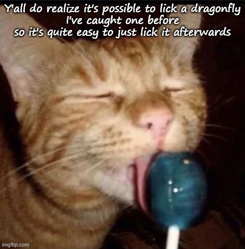 silly goober 2 | Y'all do realize it's possible to lick a dragonfly
I've caught one before so it's quite easy to just lick it afterwards | image tagged in silly goober 2 | made w/ Imgflip meme maker
