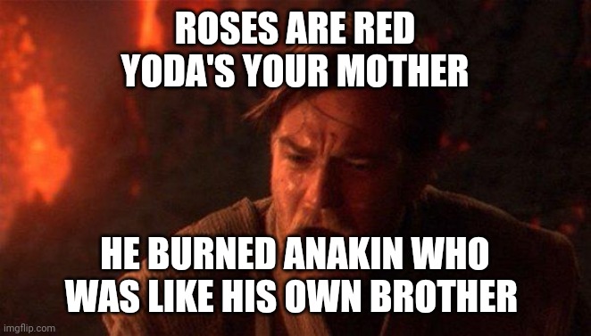 Obi wan burns his bro | ROSES ARE RED
YODA'S YOUR MOTHER; HE BURNED ANAKIN WHO WAS LIKE HIS OWN BROTHER | image tagged in memes,you were the chosen one star wars,star wars yoda,obi wan kenobi | made w/ Imgflip meme maker