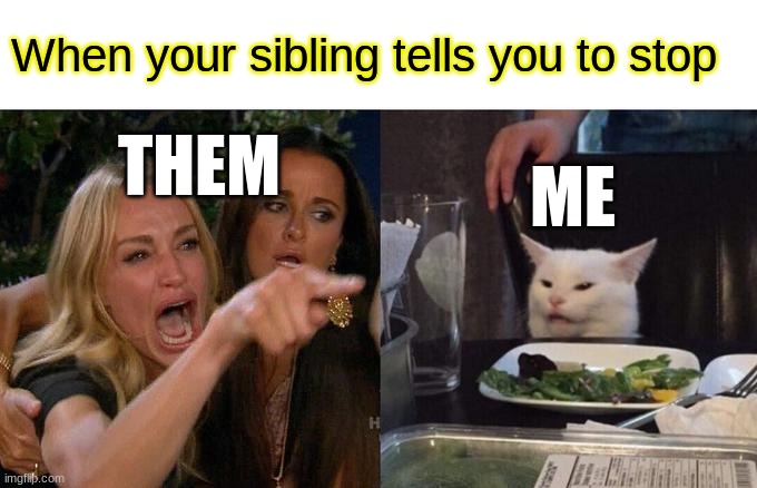 Woman Yelling At Cat | When your sibling tells you to stop; THEM; ME | image tagged in memes,woman yelling at cat | made w/ Imgflip meme maker