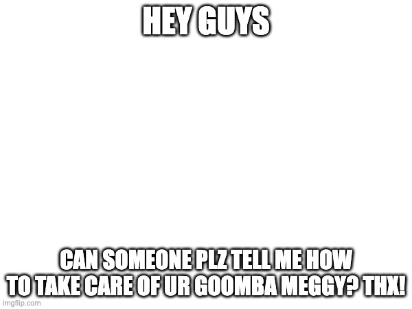 HEY GUYS; CAN SOMEONE PLZ TELL ME HOW TO TAKE CARE OF UR GOOMBA MEGGY? THX! | made w/ Imgflip meme maker