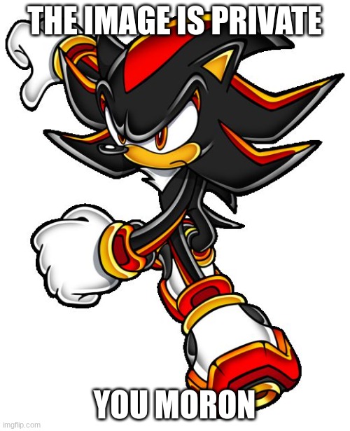 Shadow the hedgehog | THE IMAGE IS PRIVATE YOU MORON | image tagged in shadow the hedgehog | made w/ Imgflip meme maker