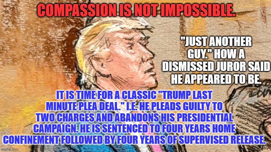 Why put his family, close friends and associates, supporters and the American people through a trial he will lose? | COMPASSION IS NOT IMPOSSIBLE. "JUST ANOTHER GUY." HOW A DISMISSED JUROR SAID HE APPEARED TO BE. IT IS TIME FOR A CLASSIC "TRUMP LAST MINUTE PLEA DEAL." I.E. HE PLEADS GUILTY TO TWO CHARGES AND ABANDONS HIS PRESIDENTIAL CAMPAIGN. HE IS SENTENCED TO FOUR YEARS HOME CONFINEMENT FOLLOWED BY FOUR YEARS OF SUPERVISED RELEASE. | image tagged in politics | made w/ Imgflip meme maker