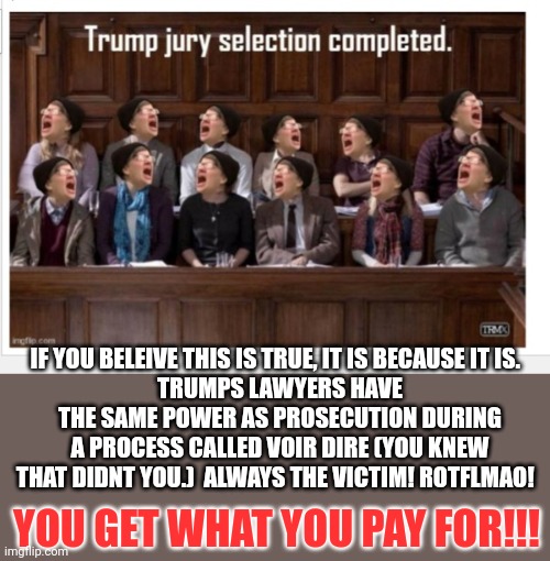 Crappy lawyers who inow they wont get paid!!!! | IF YOU BELEIVE THIS IS TRUE, IT IS BECAUSE IT IS.  
TRUMPS LAWYERS HAVE THE SAME POWER AS PROSECUTION DURING A PROCESS CALLED VOIR DIRE (YOU KNEW THAT DIDNT YOU.)  ALWAYS THE VICTIM! ROTFLMAO! YOU GET WHAT YOU PAY FOR!!! | made w/ Imgflip meme maker